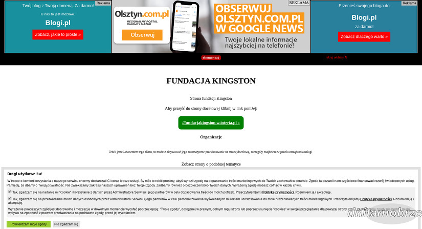 fundacja-kingston