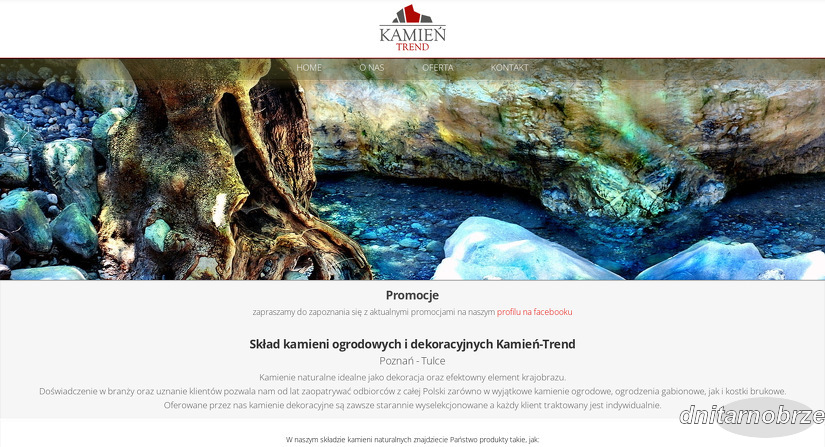 kamien-trend